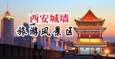 精品爆操黄片中国陕西-西安城墙旅游风景区